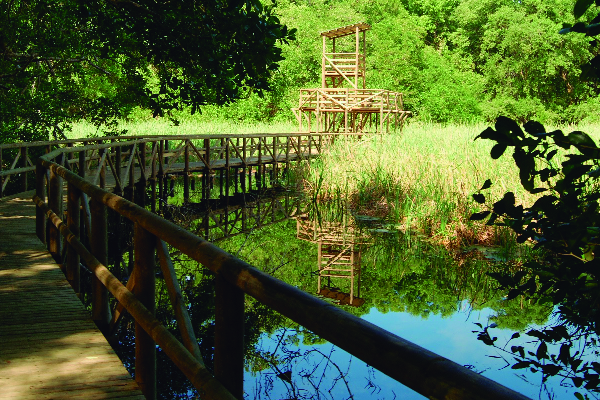 Parque Isla de Salamanca