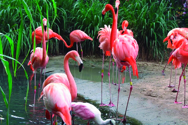 Zoológico de Barranquilla